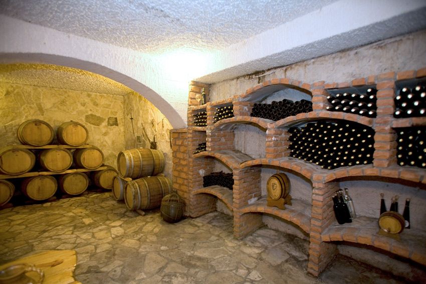 Full-Day Peljesac Wine Tour - Ston, salt, oysters, and a useful first stop