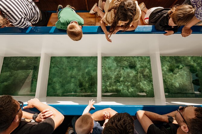 Glass boat tour Fažana with swimming stop - Key points to know before booking