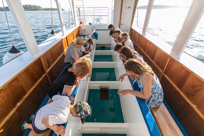 Glass boat tour Fažana with swimming stop - The first look below the boat near Brijuni