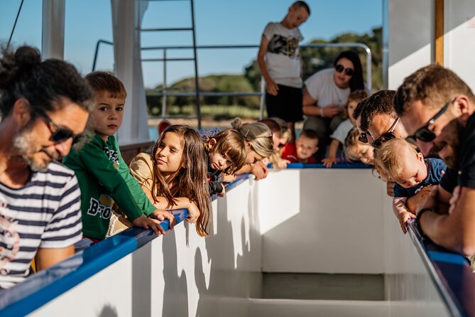 Glass boat tour Fažana with swimming stop - The terrace, drinks, and possible sunset mood