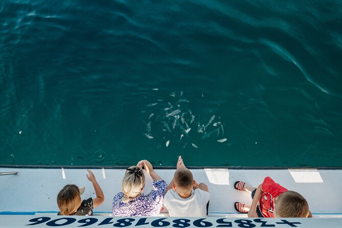 Glass boat tour Fažana with swimming stop - How much value do you get for $35.80?