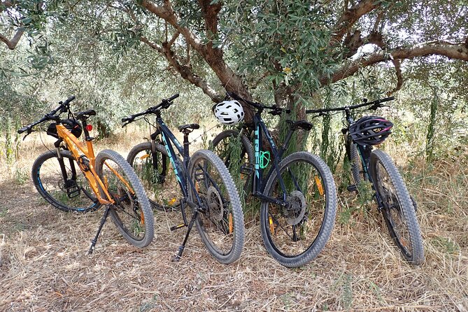Half-Day Bike Tour in Lumbarda with Wine Tasting - Fields, an old water point, and the road to Lumbarda