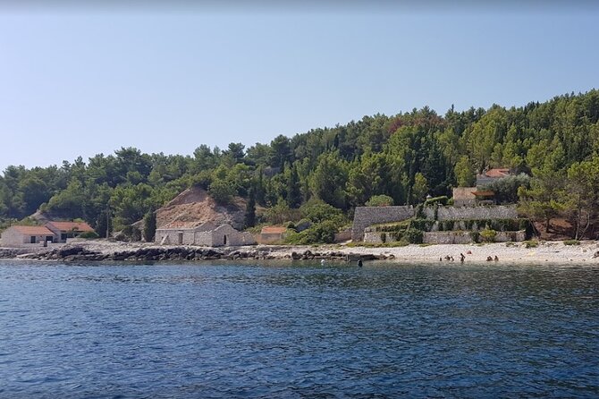 Half-Day Boat Tour Korcula Archipelago - The food: grilled fish, local produce, and homemade wine