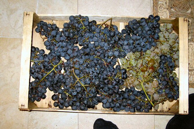Half Day Tour - Deep and Dark Red Wine of Pelješac - What the red-wine title really means