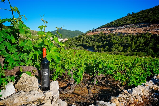 Half Day Tour - Deep and Dark Red Wine of Pelješac - Cancellation and weather details
