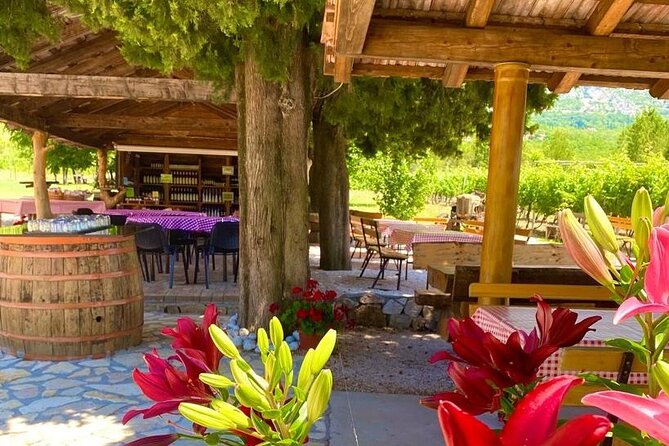 Half-Day Wine and Food Tasting from Dubrovnik - A family winery with food made at home
