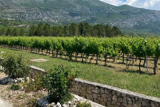 Half-Day Wine and Food Tasting from Dubrovnik - Cavtat adds a pleasant but brief second stop