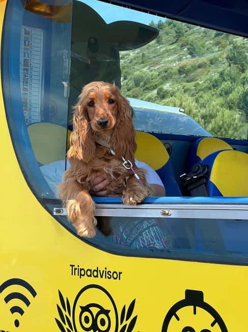 Hop-On Hop-Off Yellow Cabrio Tour: See Dubrovnik in 90mins - Should you book the Yellow Cabrio Tour?