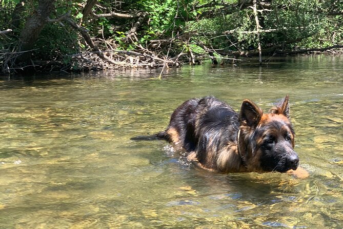 Horseback Riding Across River Ljuta with transport - Ranch animals and the post-ride welcome