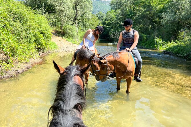Horseback Riding Across River Ljuta with transport - What the $230.36 price means