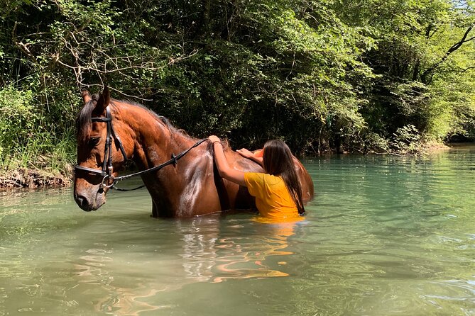 Horseback Riding Across River Ljuta with transport - Timing, weather, and physical demands