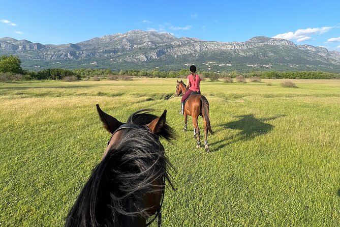 Horseback Riding Experience with transport from Dubrovnik - Meeting the horses at the small ranch