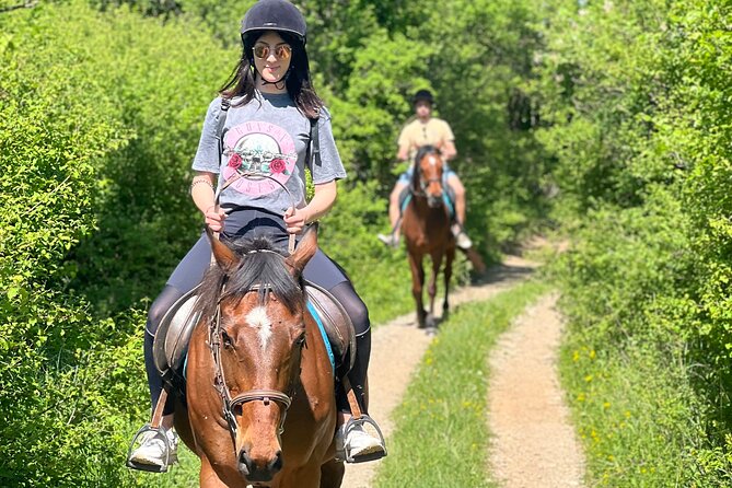 Horseback Riding Experience with transport from Dubrovnik - Who should choose this Konavle ride?