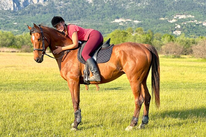 Horseback Riding Experience with transport from Dubrovnik - One hour through fields, forest, and vineyards