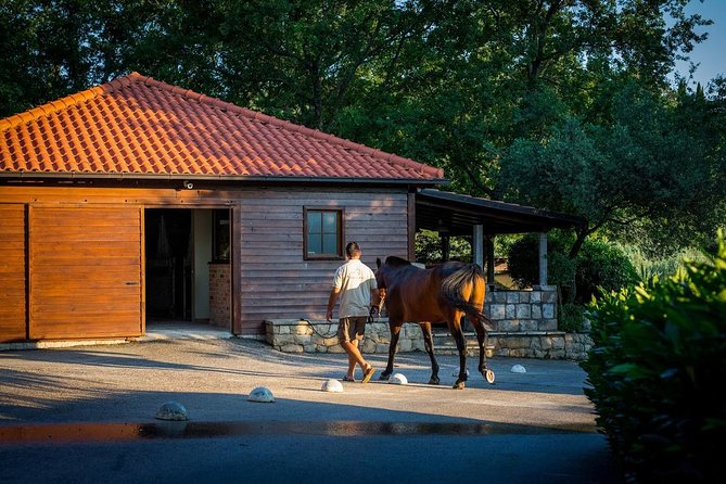 Horseback Riding in Konavle Region with Transport from Dubrovnik - Adriatic cliffs, mountain views, and photo stops