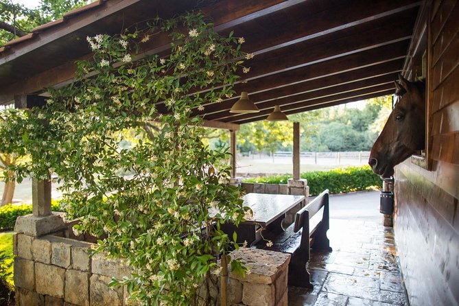 Horseback Riding in Konavle Region with Transport from Dubrovnik - What to wear and what to bring