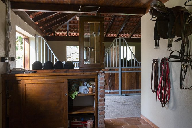 Horseback Riding in Konavle Region with Transport from Dubrovnik - Is $168.95 a fair price?