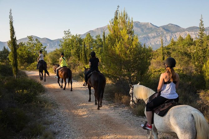 Horseback Riding in Konavle Region with Transport from Dubrovnik - Two hours through Konavle’s woods and villages