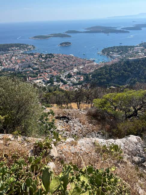 Hvar: Hvar Wine Tasting Experience - Jelsa, Vrboska, and the winery visit