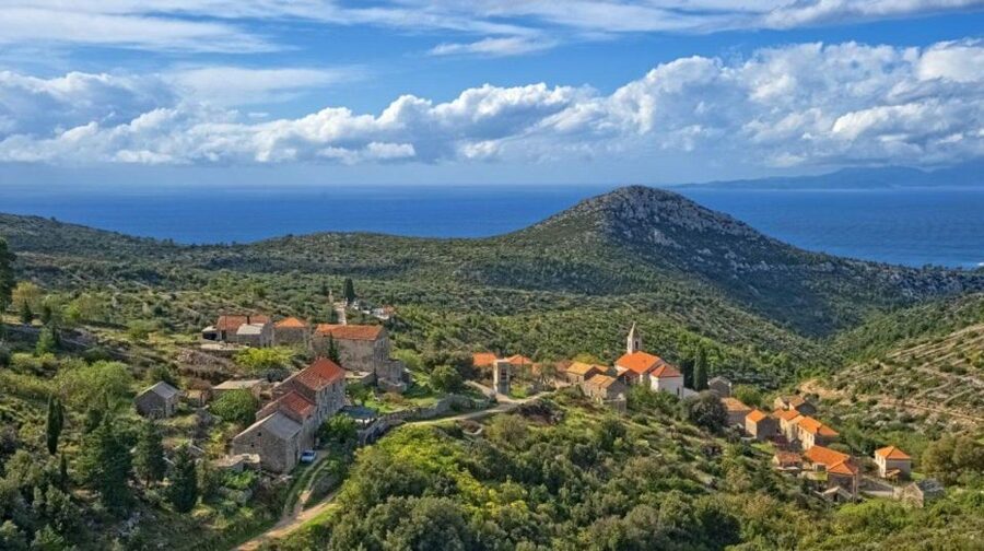 Hvar: Island tour with Wine and Olive Oil Tasting - Key points to know