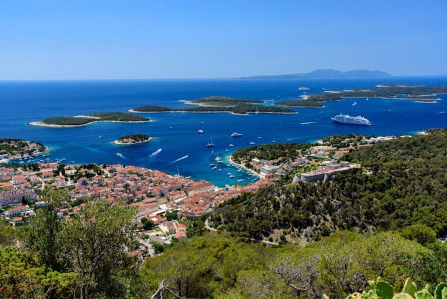 Hvar: Island tour with Wine and Olive Oil Tasting - What the olive oil tasting adds