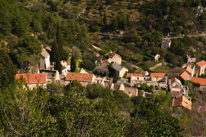 Hvar Lavender Tour - Who should book this active half-day outing?