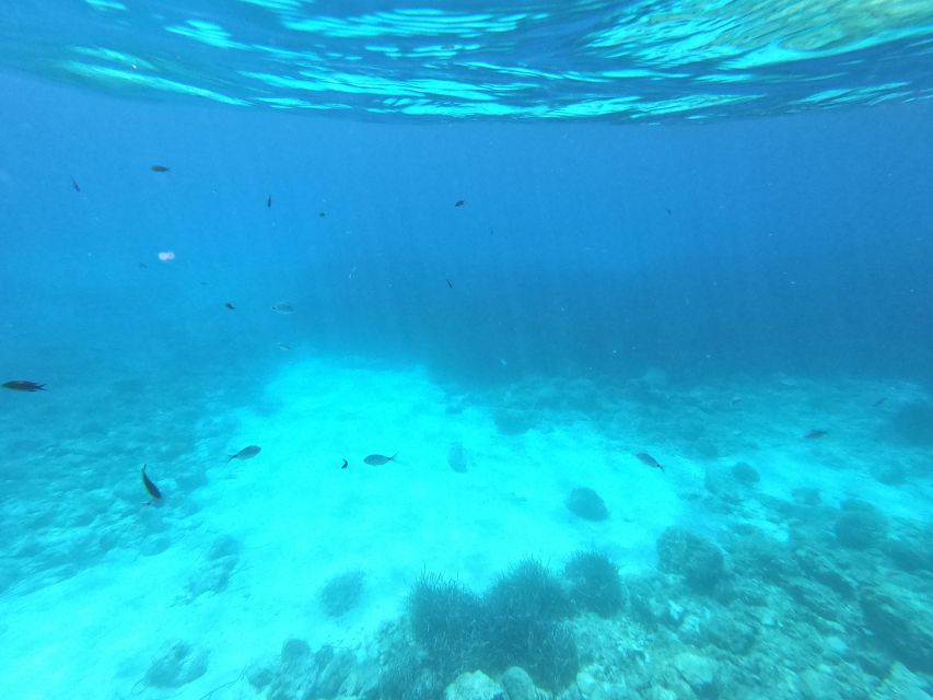 Hvar: Private Sailing Boat Trip with Swimming and Snorkeling - Half-day or full-day: choosing the right length