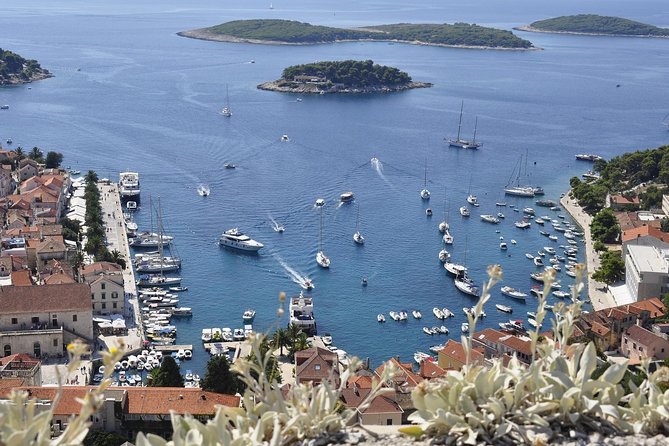 Hvar Private Walking Tour With A Professional Guide - From Neolithic settlers to Demetrius of Pharos