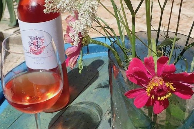 Hvar Small Group Wine Tour and Authentic Dalmatian Dinner - Why this tour shows you a different Hvar