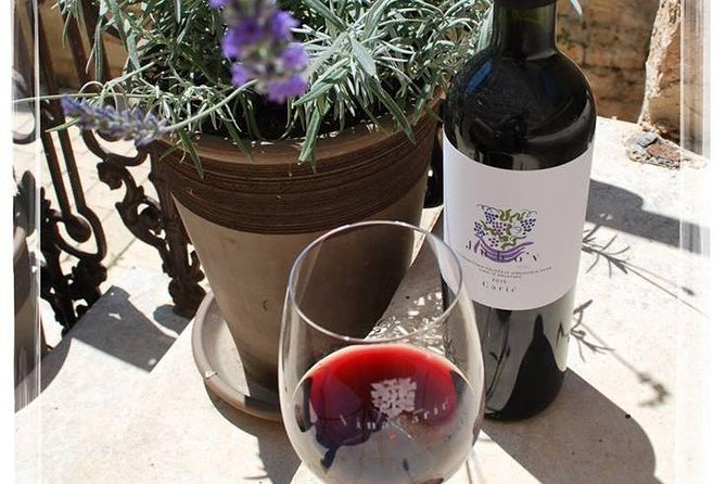 Hvar Small Group Wine Tour and Authentic Dalmatian Dinner - Who will enjoy this Hvar experience most