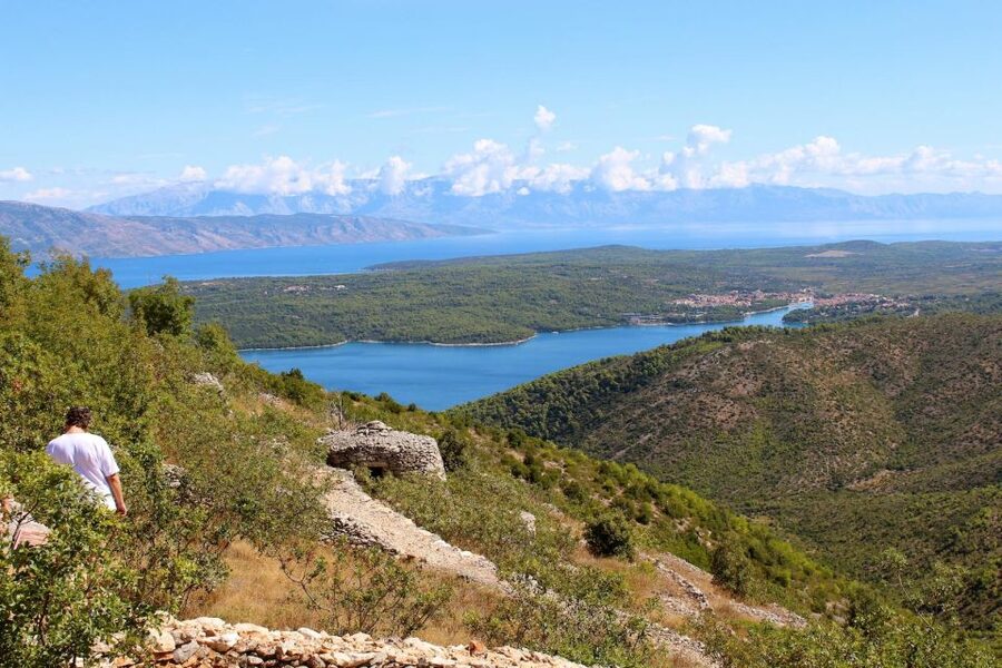 Hvar Wine Tour + Dalmatian Dinner - Ventus in Vrisnik, wine shaped by the wind