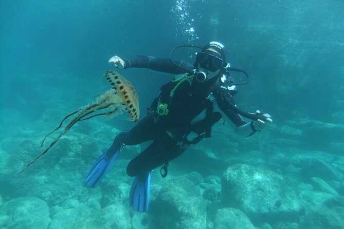Intro Dive in Dubrovnik - Equipment and instruction are included