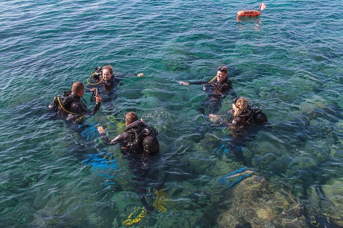 Intro Dive in Dubrovnik - The shore entry keeps the plan straightforward