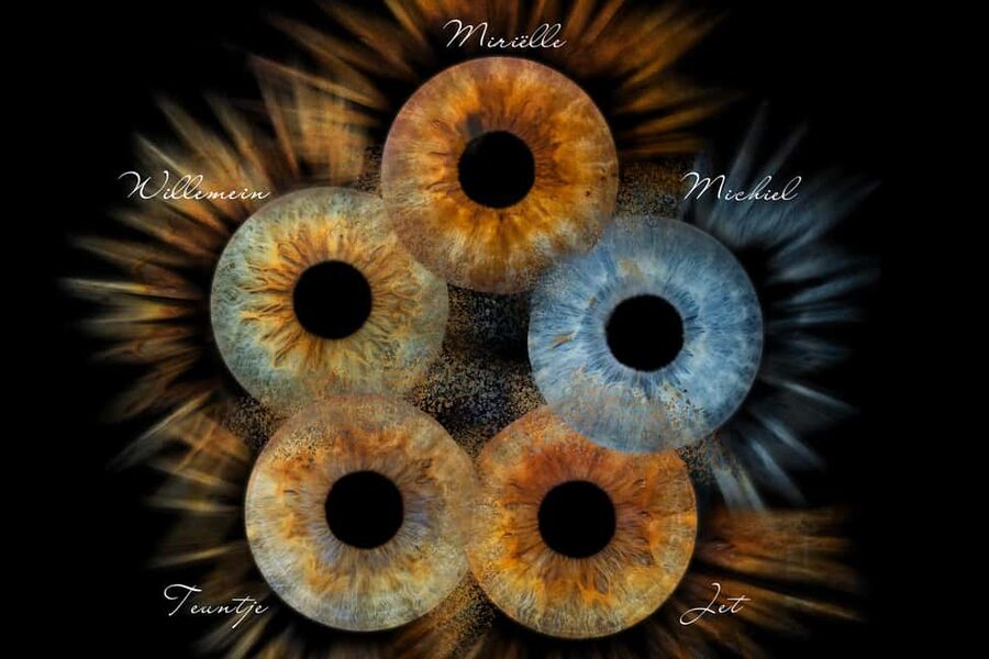 IRIS Photography (macro photo of your eye) - Why an iris photo makes a personal Split souvenir