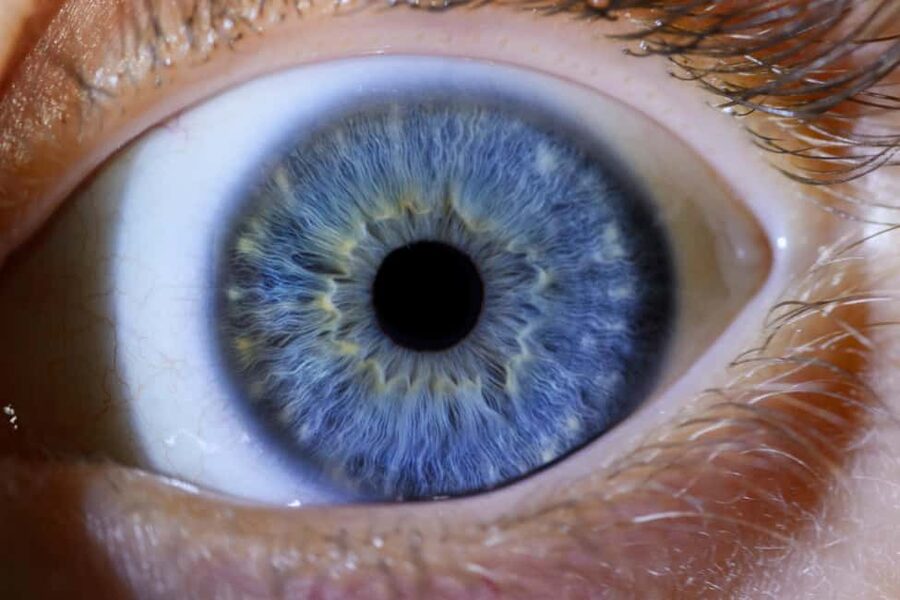 IRIS Photography (macro photo of your eye) - Is $68 good value for a 10-minute activity?