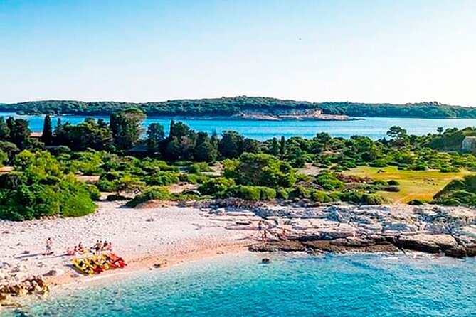 Island Visit National Park Brijuni & Dolphin Cruise - What the guide adds to the cruise