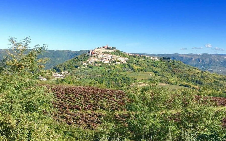 Istria: Guided Tour of Inner Istria with Food Tasting - Motovun and the taste of truffle country