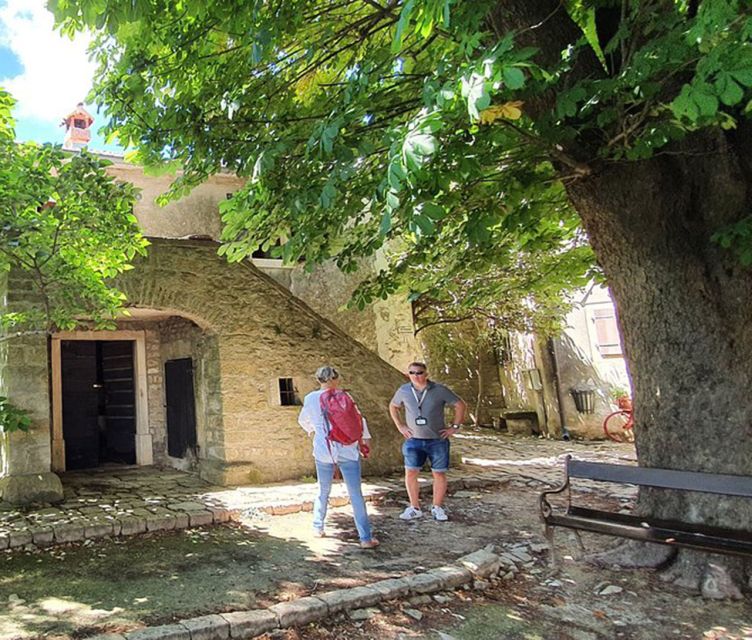 Istria: Guided Tour of Inner Istria with Food Tasting - Should you book the Inner Istria tour?