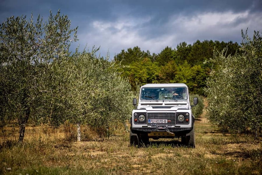 Istria: Land Rover Off-Road Adventure with Tastings - Who will enjoy this most
