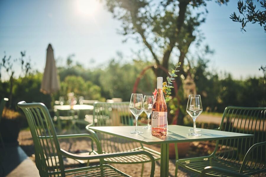 Istria: Pervino wine tasting - What you will not see: cellar and vineyard access
