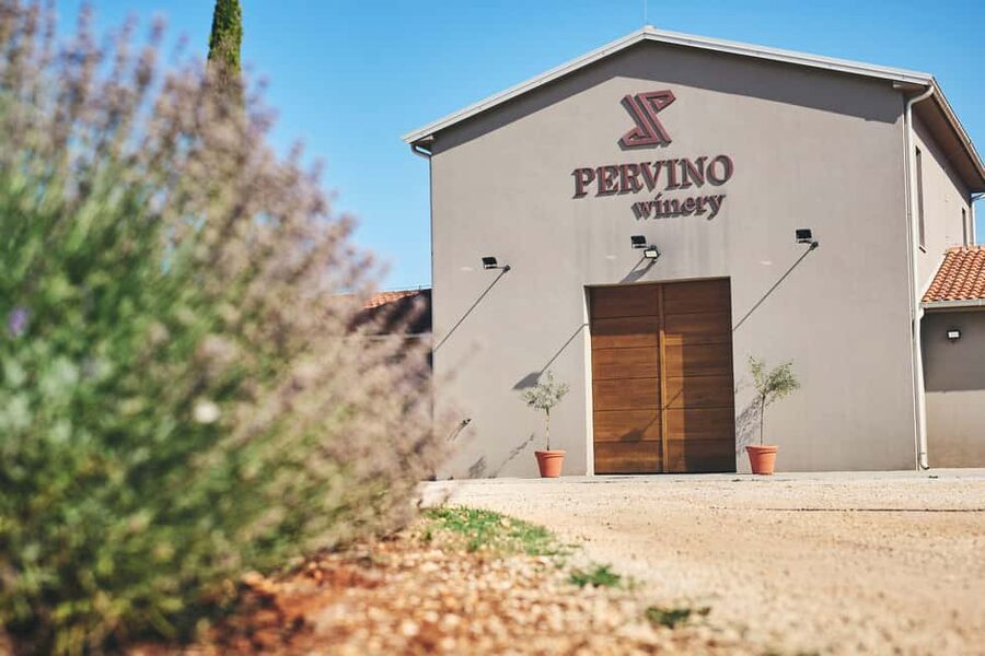 Istria: Pervino wine tasting - Price, flexibility, and who gets the best value