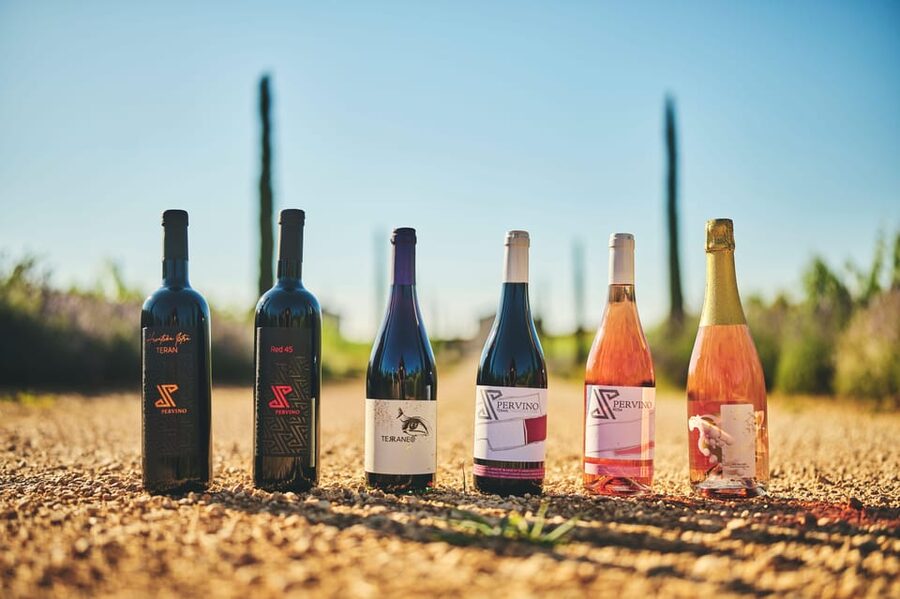 Istria: Pervino wine tasting - Practical details before you reserve