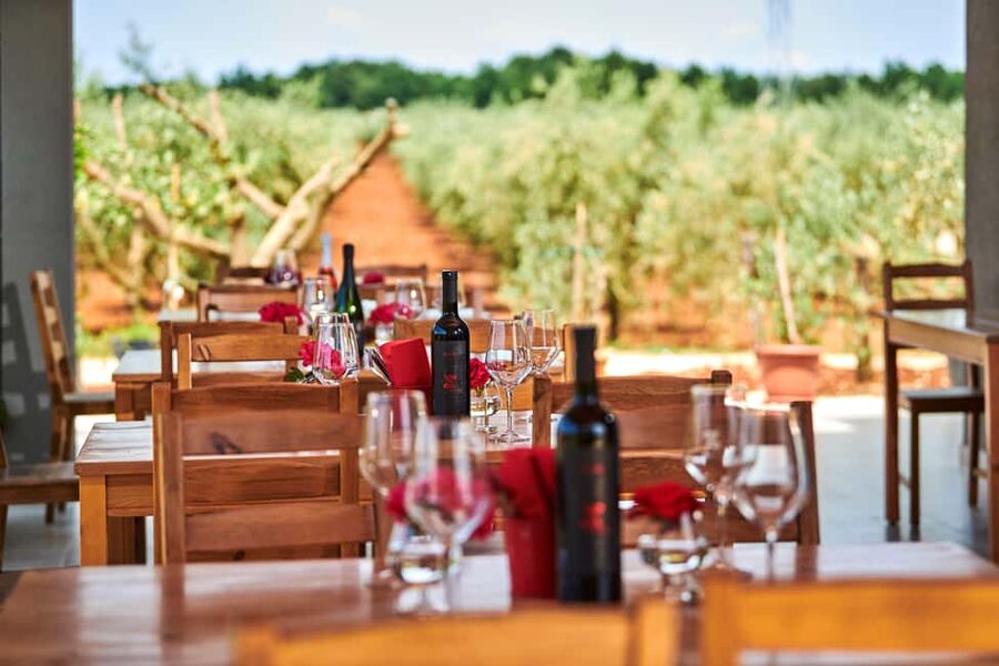 Istria: Pervino wine tasting - Choosing six wines from Pervino’s 17 bottles