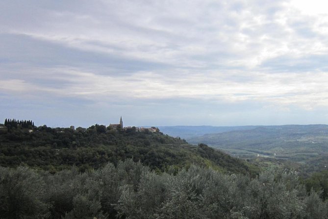 Istrian hill top cities tour with truffle and olive oil tasting - Truffle tasting: a sample of Istria’s signature flavor