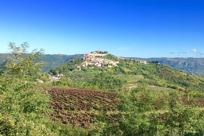 Istrian hill top cities tour with truffle and olive oil tasting - Is $116.78 a fair price?