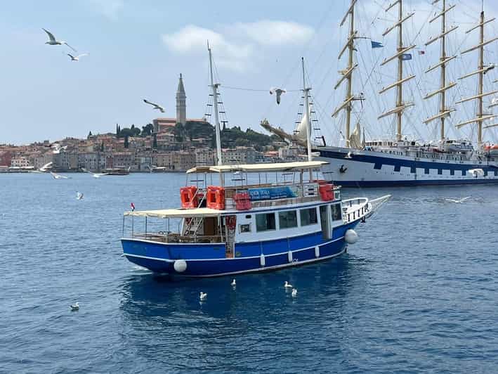 Izlet brodom iz Vrsara: Zalazak sunca i druženje s delfinima - Key points to know before boarding