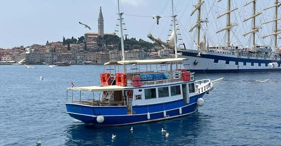 Izlet brodom iz Vrsara: Zalazak sunca i druženje s delfinima - Cruising through the Istrian archipelago