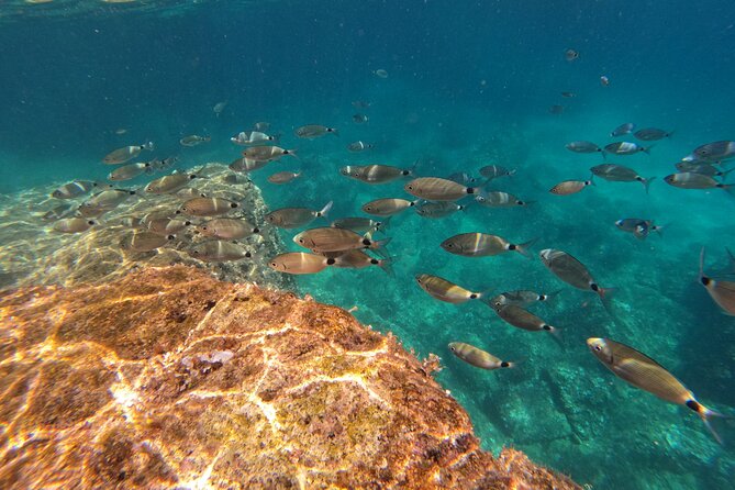 Kamenjak Nature Park: Kayak Tour with Snorkeling & Cave Exploring - After the tour at Safari Bar