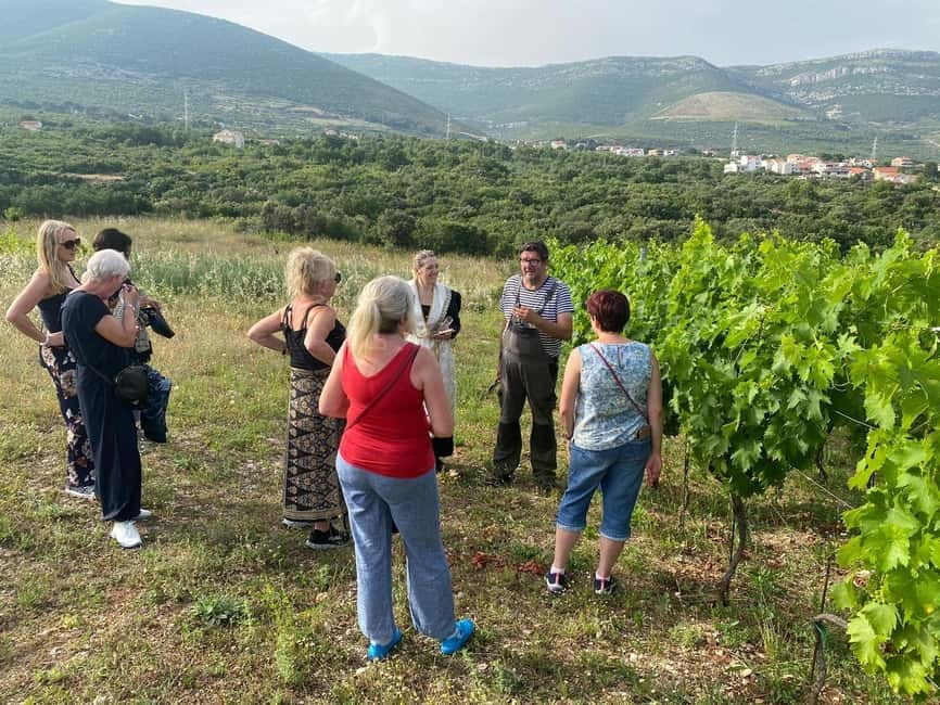 Kastela: Wine & Olive Tasting Tour w/Delicacies & Live Music - Accordion music and traditional dress