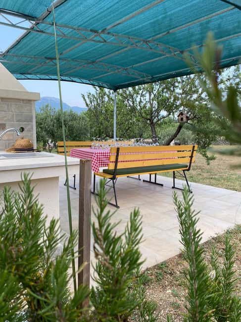 Kastela: Wine & Olive Tasting Tour w/Delicacies & Live Music - How the timing and transport work